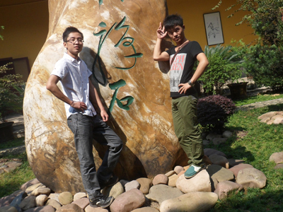 ϴ������